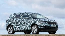 Zagadka rozwiązana - następca Yeti to Karoq