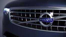 Volvo Concept You - grill