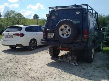 #Fiat #Tipo #długidystans #LandRover