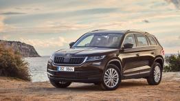 Skoda w 2017 roku: niekwestionowany lider dzięki zaufaniu klientów