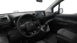 Francusko-niemieckie trojaczki w segmencie kombivanów