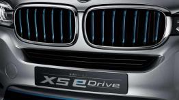 BMW Concept5 X5 eDrive - dla ekomaniaków?