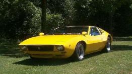 Rezerwat mechanicznych wierzchowców