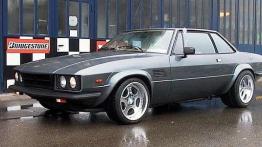 Rezerwat mechanicznych wierzchowców