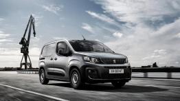 Francusko-niemieckie trojaczki w segmencie kombivanów