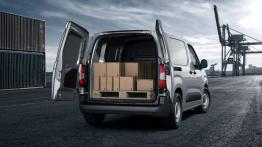 Francusko-niemieckie trojaczki w segmencie kombivanów