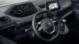 Francusko-niemieckie trojaczki w segmencie kombivanów