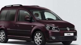 Przegląd rynku nowych samochodów: samochody z LPG za co najmniej 50 tys. zł