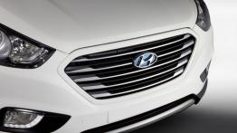 Hyundai ix35 Fuel Cell - grill