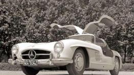 Dziennikarze narażali życie, by zmierzyć się z jego legendą - Mercedes SL