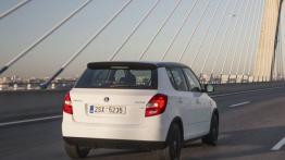 Skoda Fabia Monte Carlo - widok z tyłu