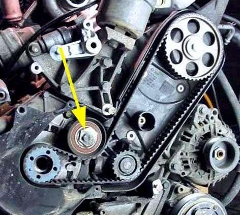 Rolki na wagę ... złota