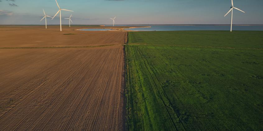Stellantis zmienia kurs. Neutralność klimatyczna odsunięta o 12 lat