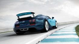 Bugatti Veyron 16.4 Grand Sport Vitesse Jean-Pierre Wimille