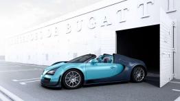 Bugatti Veyron 16.4 Grand Sport Vitesse Jean-Pierre Wimille