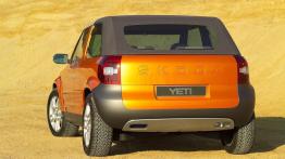 Skoda Yeti Lifestyle - widok z tyłu