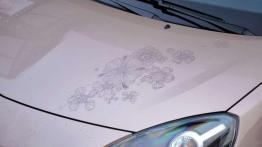 Renault Twingo - SPA-ce Shuttle