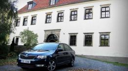 Wszystko o Rapidzie: z zamkiem w tle