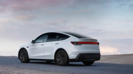 Tesla wróciła na szczyt Europy. Model Y zdeklasował wszystkich rywali