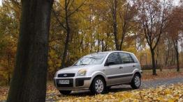 W sam raz do polskiej dżungli