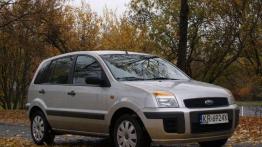 W sam raz do polskiej dżungli