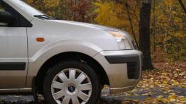 W sam raz do polskiej dżungli