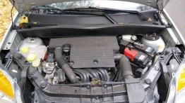 W sam raz do polskiej dżungli