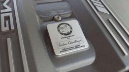 Cudownie szpanerski - Mercedes SLS