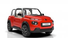 Citroen zaskakuje nowym modelem