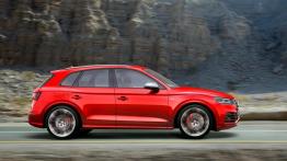 Audi SQ5 z benzynowym silnikiem
