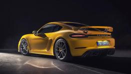 Najmniejsze modele Porsche z 6-cylindrowym silnikiem