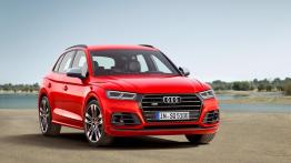 Audi SQ5 z benzynowym silnikiem