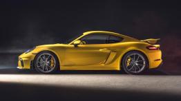 Najmniejsze modele Porsche z 6-cylindrowym silnikiem