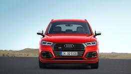 Audi SQ5 z benzynowym silnikiem