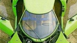 Na początku wytwór szalonego umysłu, a potem...