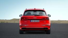Audi SQ5 z benzynowym silnikiem