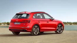 Audi SQ5 z benzynowym silnikiem