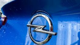 Opel Grandland X Hybrid 4 – koniec z marudzeniem