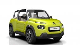 Citroen zaskakuje nowym modelem