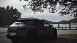 Citroen C4 Cactus – komfort nowym priorytetem