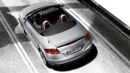 Przegląd samochodów z otwartym dachem