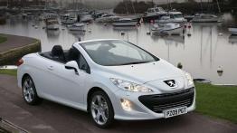 Przegląd samochodów z otwartym dachem