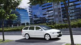 Octavia Green E Line - czy można jeździć za darmo?