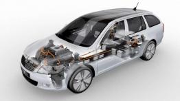 Octavia Green E Line - czy można jeździć za darmo?