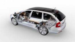 Octavia Green E Line - czy można jeździć za darmo?