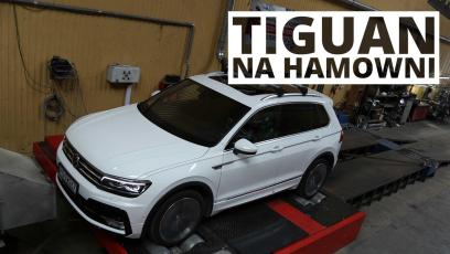 Ile naprawdę koni ma 240-konny BiTDi? Wynik z hamowni