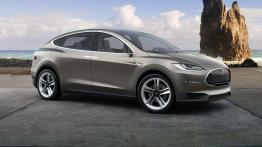 Tesla Motors - przyszłość motoryzacji z Iron Manem za sterami