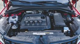 Skoda Kodiaq RS – nie taka, jak się spodziewaliśmy...