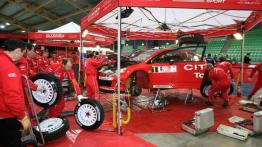 Focus RS królem zimy