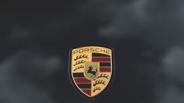 Porsche Panamera 4S diesel – wstyd czy powód do dumy?